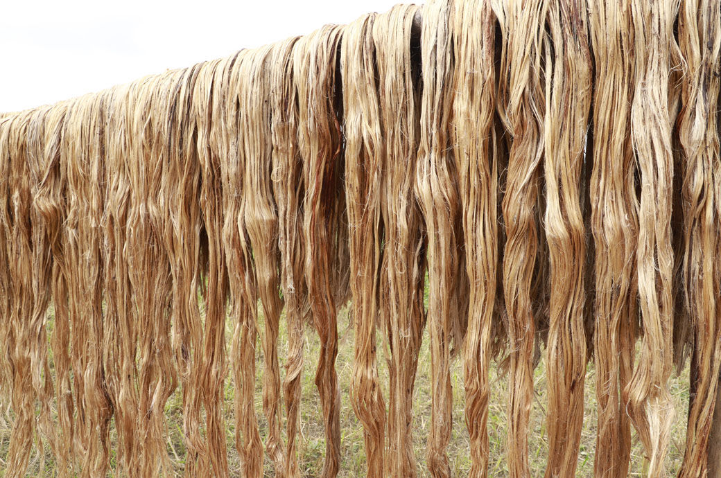 Bangladesh Bank eases loan rescheduling policy for raw jute exporters